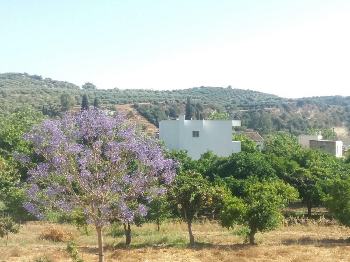 Vrondos Apartments Faneromeni  Εξωτερικό φωτογραφία