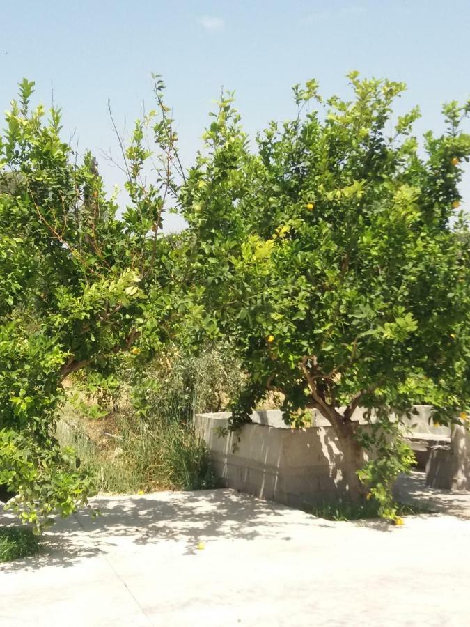 Vrondos Apartments Faneromeni  Εξωτερικό φωτογραφία